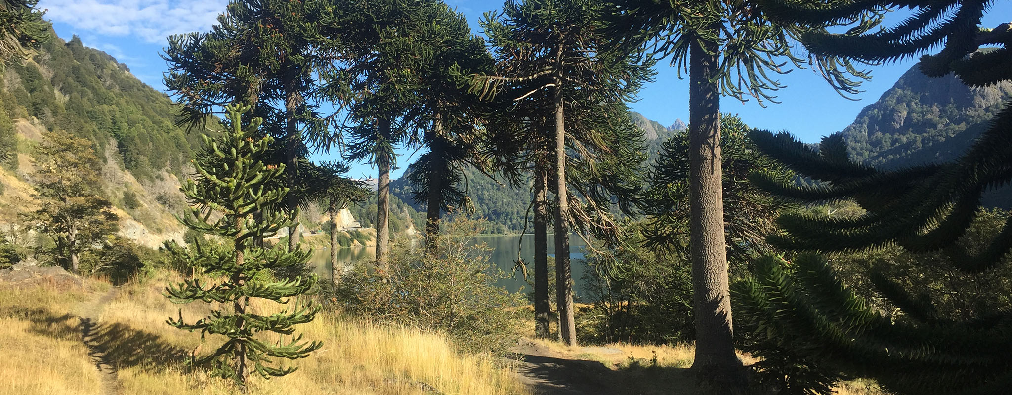 Parks and Protected Areas of Patagonia Chile