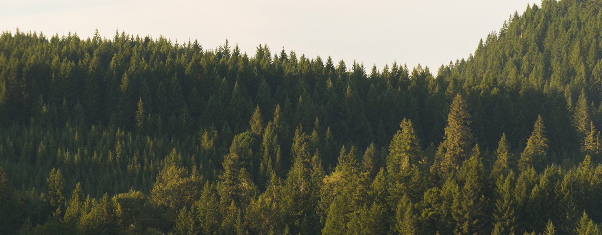 Graduate Field Course