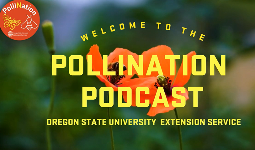 Pollination podcast image