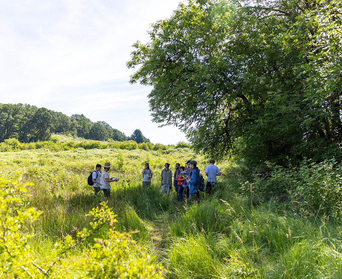 Group standing together in a forest