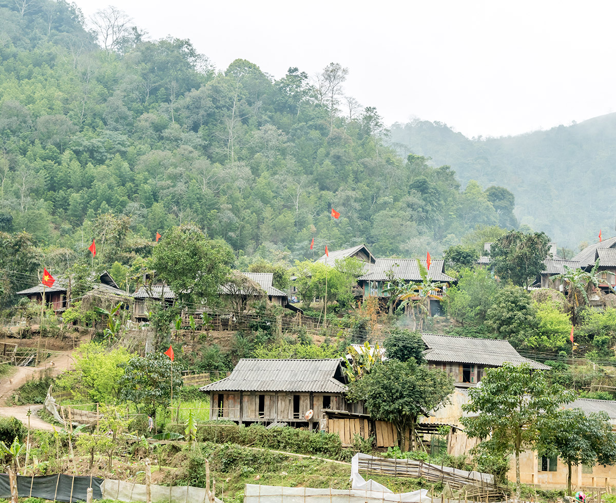 Social and Cultural Forestry