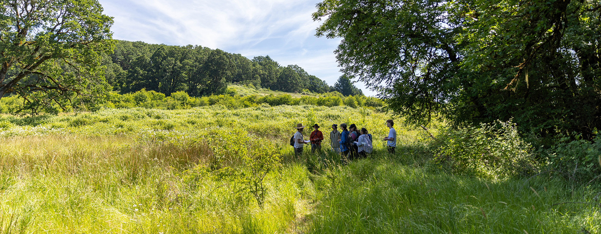 Students on field trip standing near a meadow