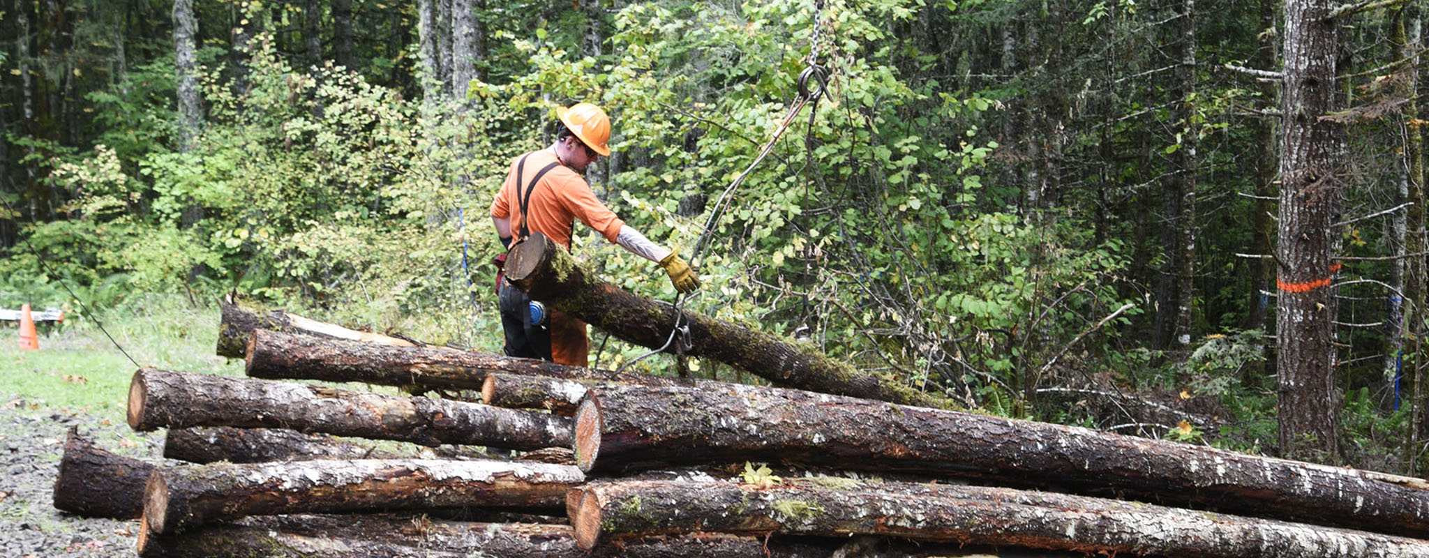 Student Logging Training Program