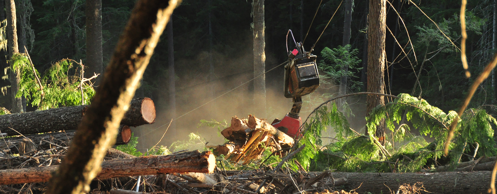 Forest Machine Management