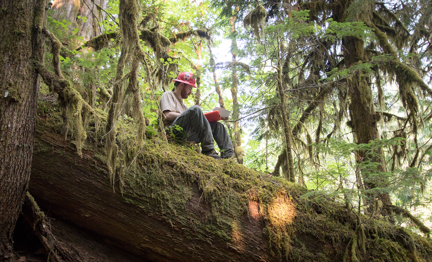 researcher in HJ Andrews