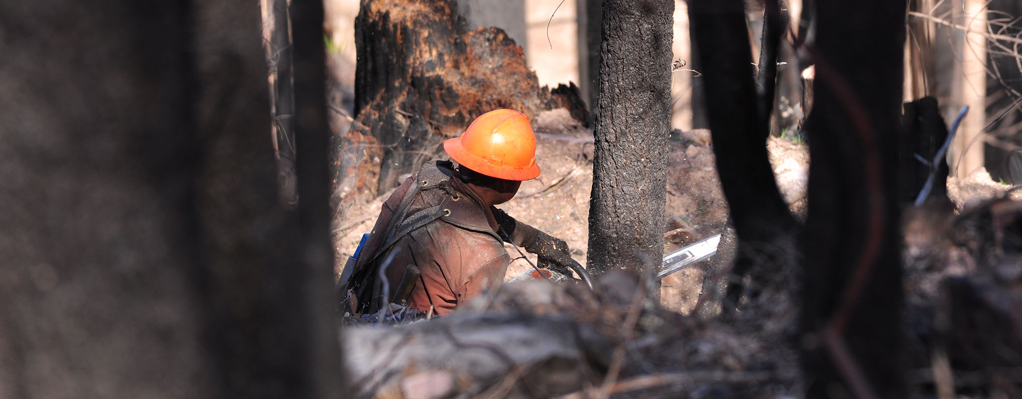 working with chainsaw