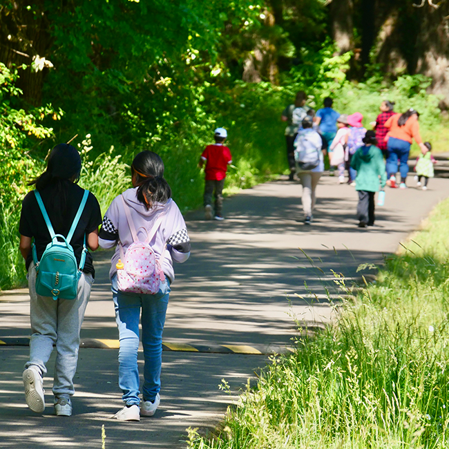Children walking a forest path