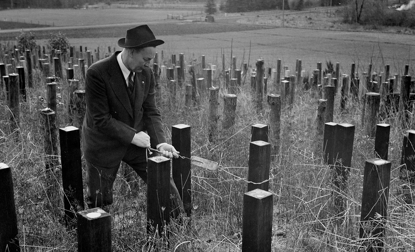 TJ Starker at pole farm