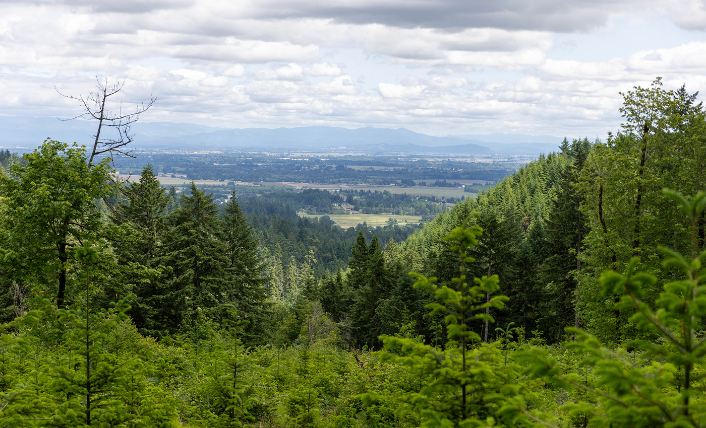Valley view from the McDonald Forest