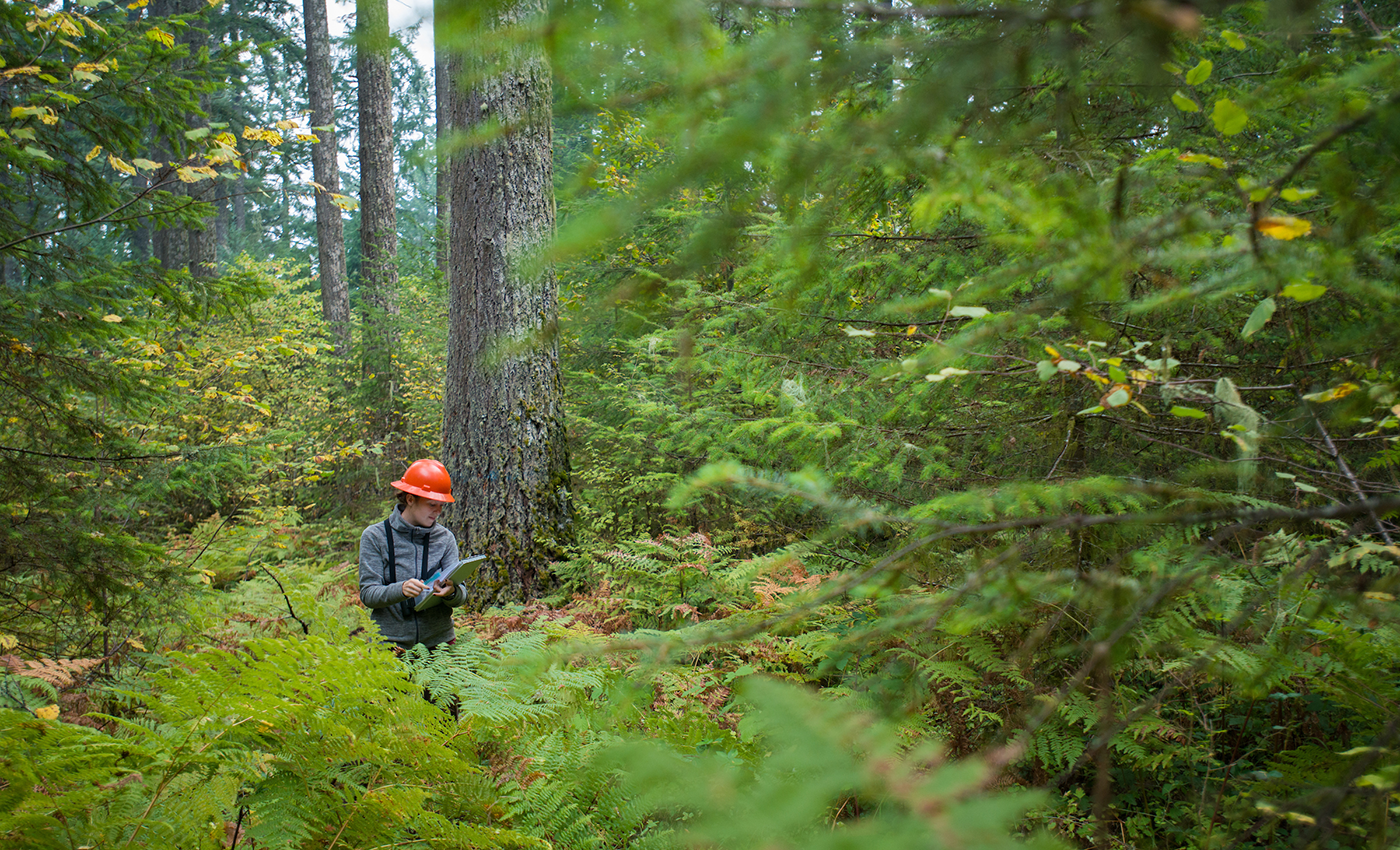 Women performing research in forest