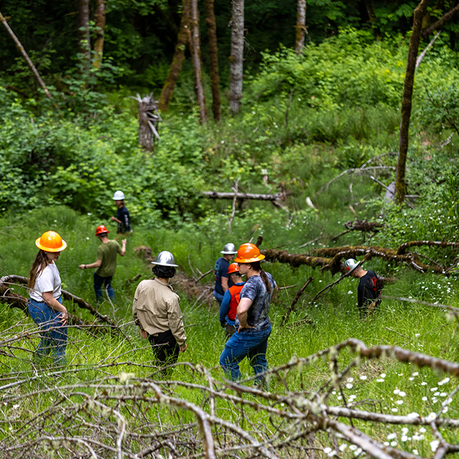 Students exploring research forest