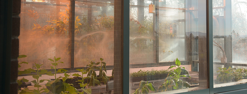 View of the quarantine lab in Richardson Hall