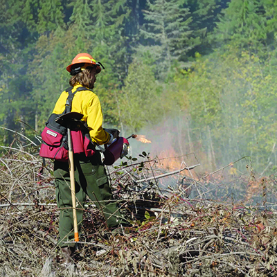 Prescribed burn on forest