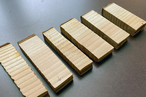 Douglas fir samples