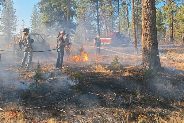 Local landowners spray water to cool down flames around a Douglas-fir tree at the first Southern Blues PBA burn.