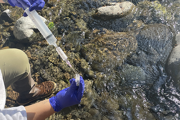 Water sampling