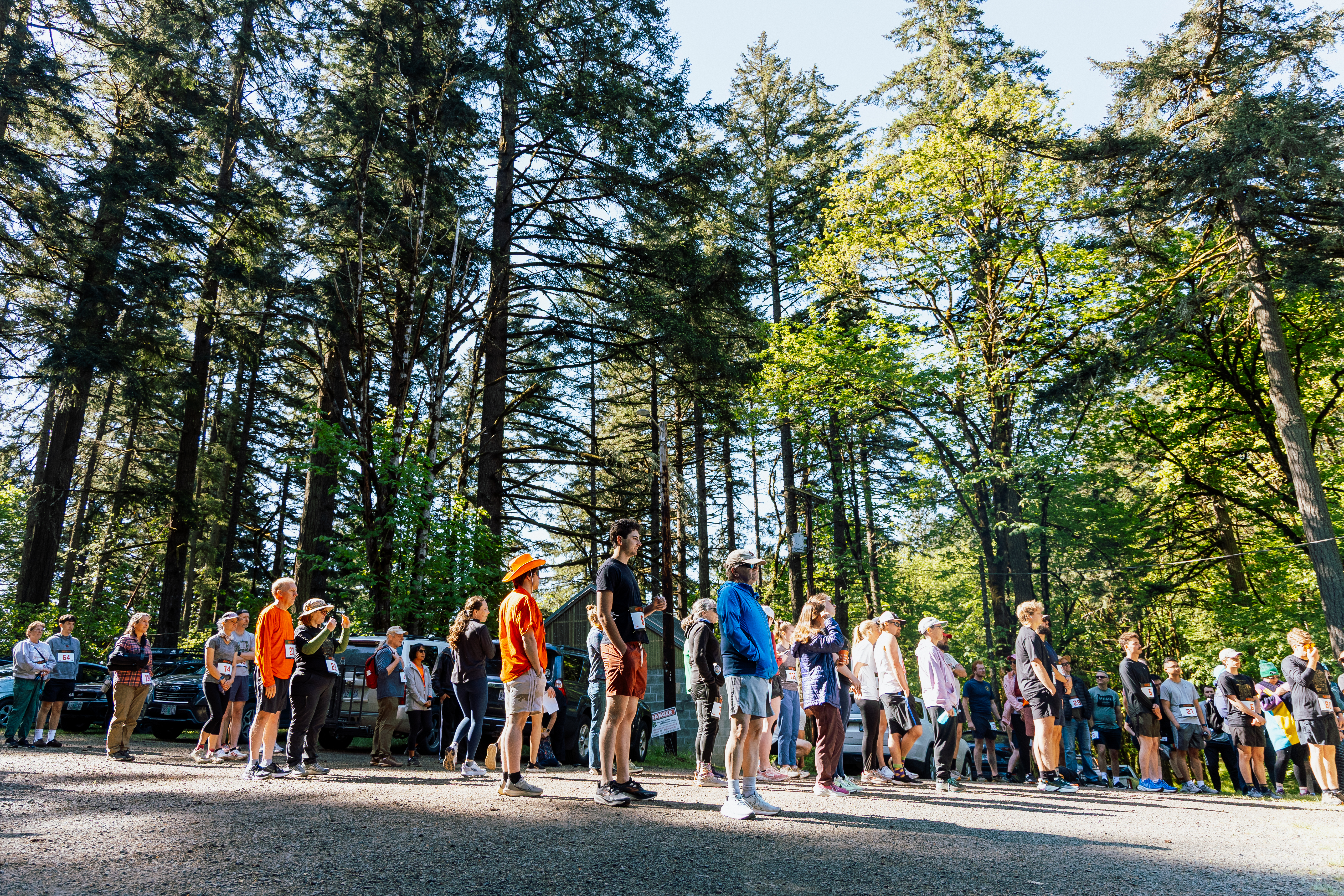 Participants of the Dam Proud Day Roots Run 5K under the canopy of the McDonald Forest