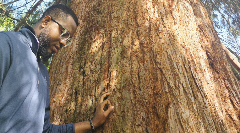Chukwuemeka Valentine Okolo stands by a big tree