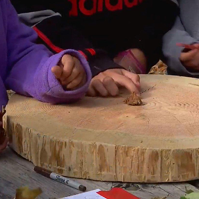 Students examine a large tree cross-section during an activity at the Clatsop Sixth Grade Forestry Tour.