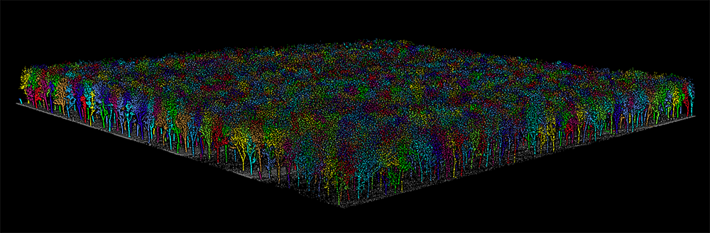 LiDAR 3-D mapping example