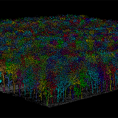 LiDAR 3-d example
