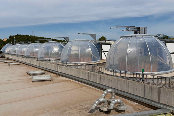 Macrocosms at Ecotron where they have an experiment testing water uptake, soil moisture, and nutrient fluxes in different soil types.