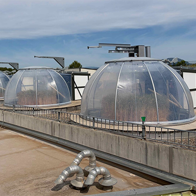 Macrocosms at Ecotron where they have an experiment testing water uptake, soil moisture, and nutrient fluxes in different soil types.