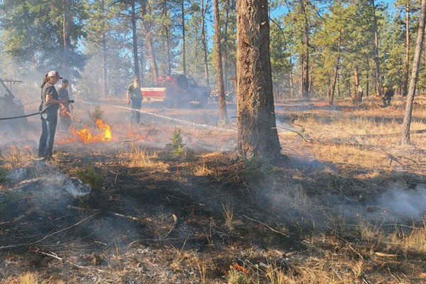 Prescribed burn