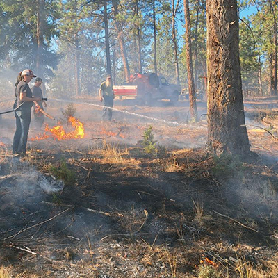 Prescribed burn