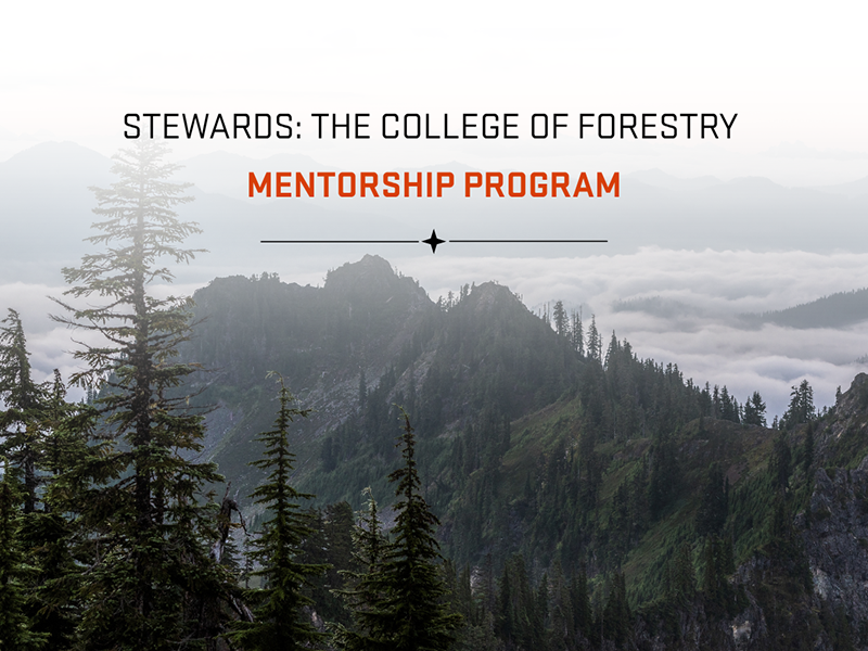 Stewards: The College of Forestry Mentorship Program graphic