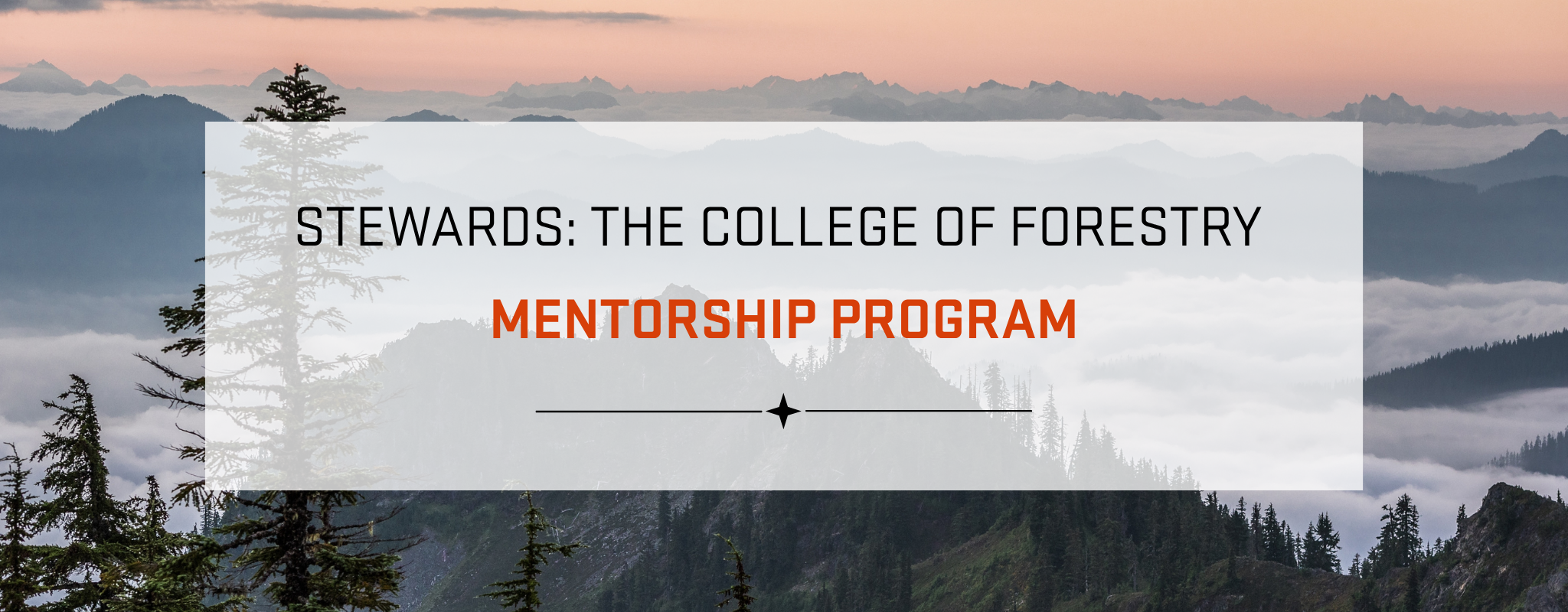 Stewards: The College of Forestry Mentorship Program