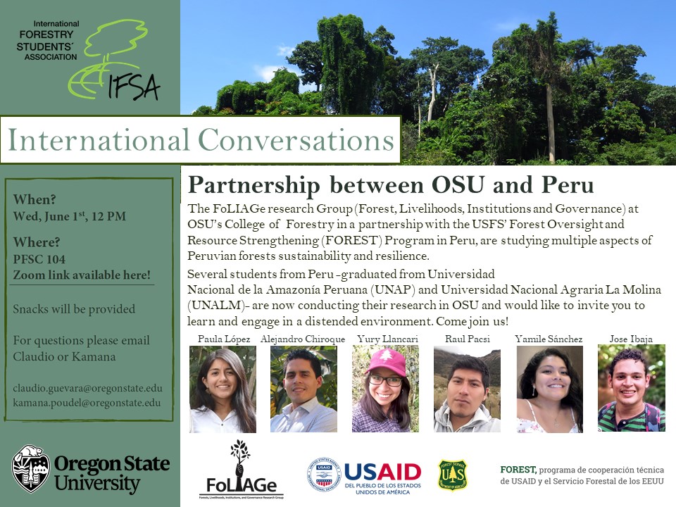Example "International Conversations" flyer