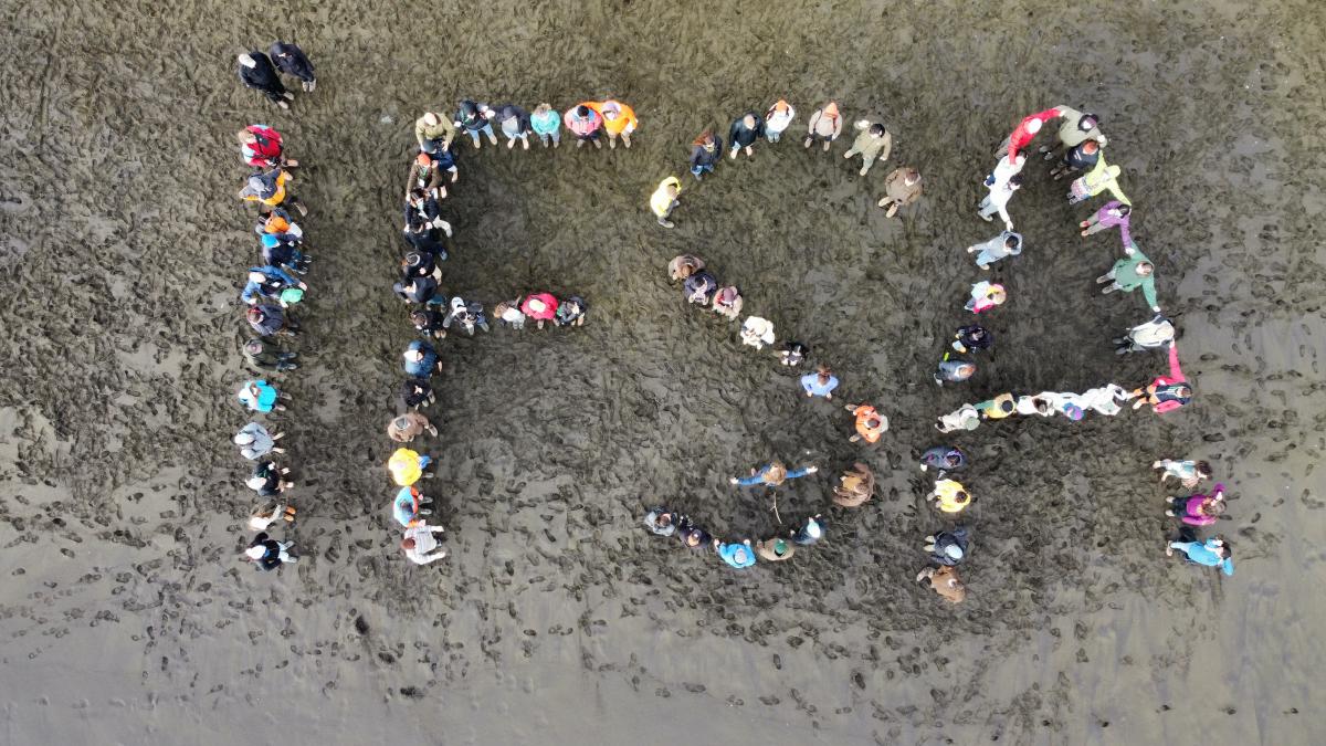 Aerial view of IFSA members organized on a beach to spell IFSA