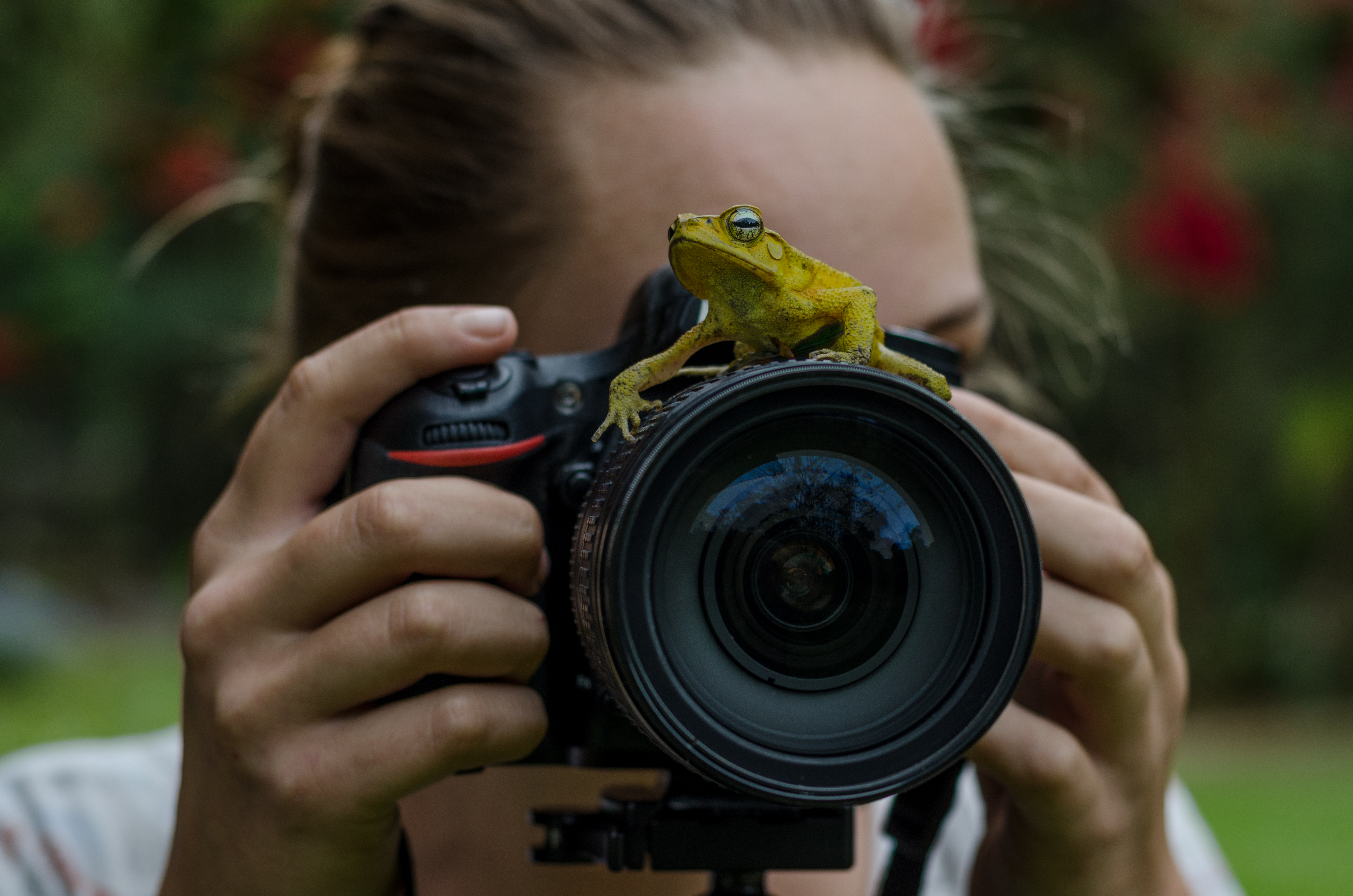 yellow-colored frog sitting atop a camera lens