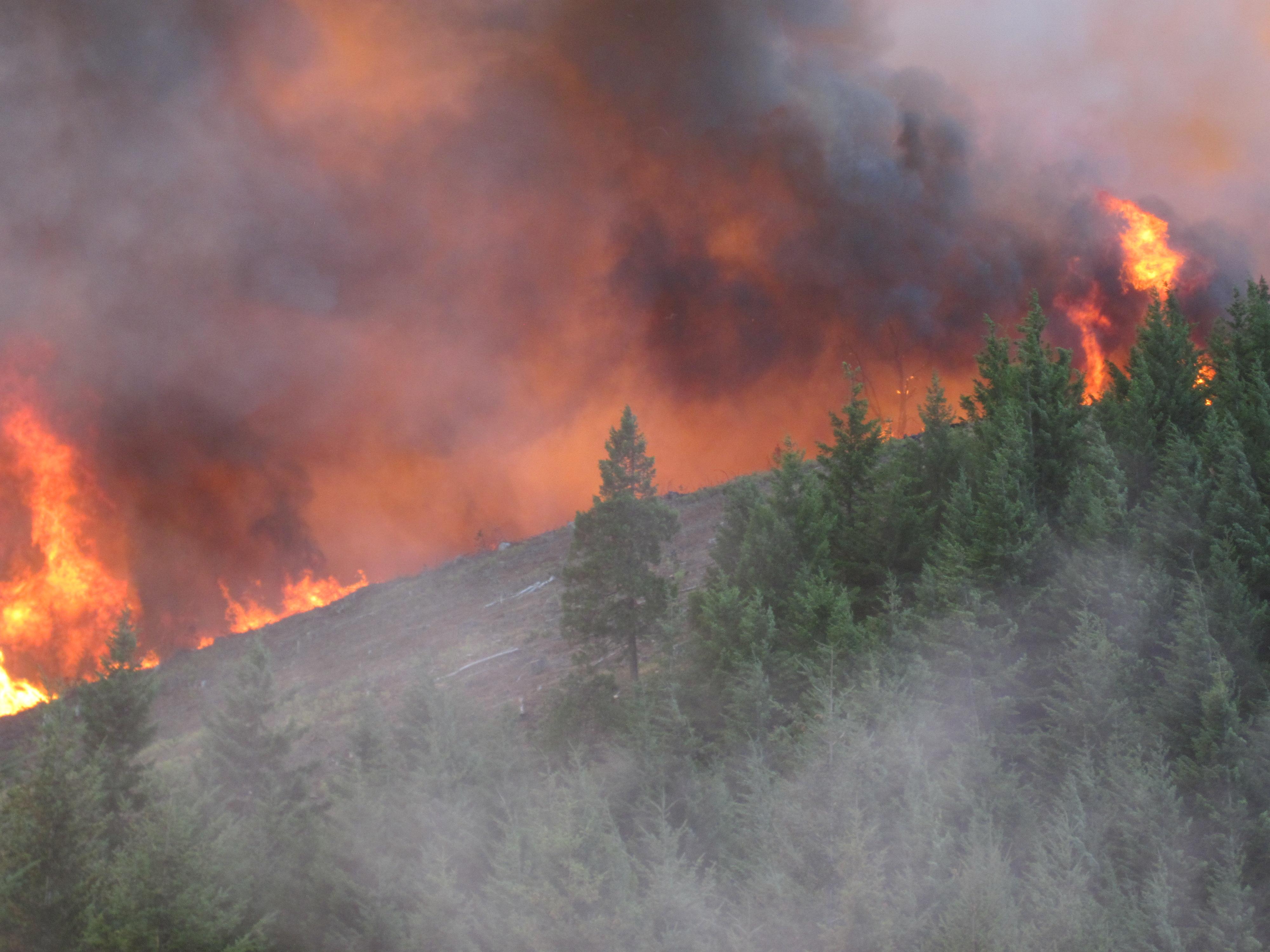 Douglas Complex fire