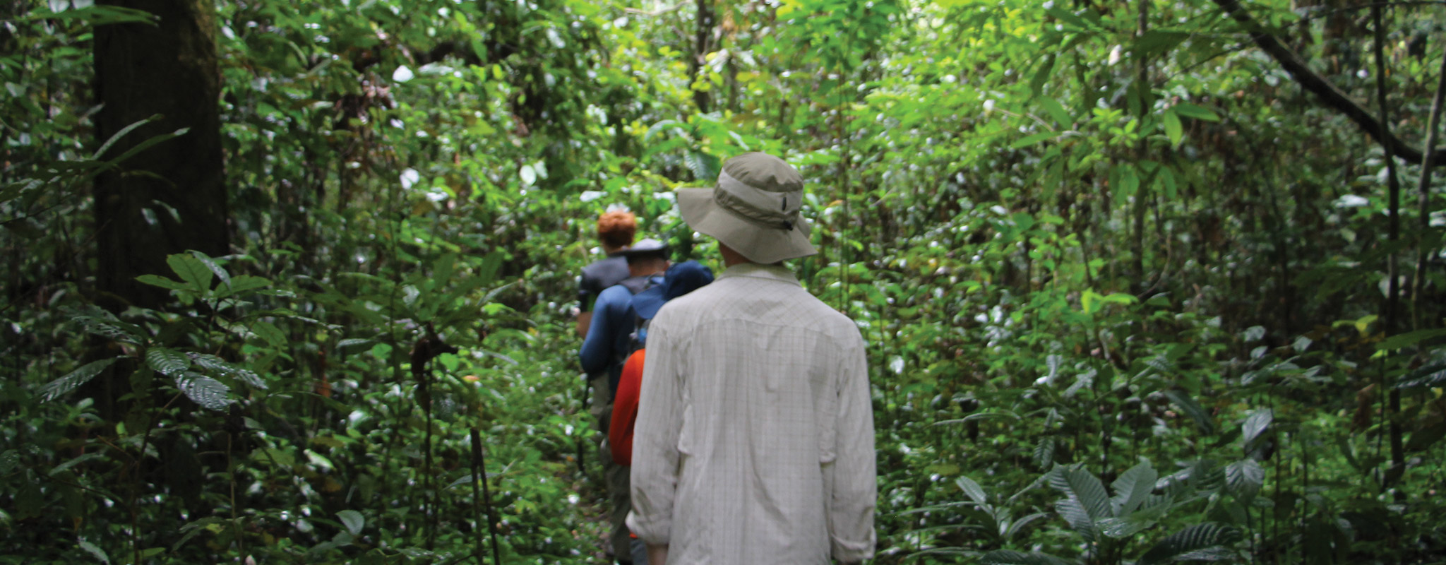 Students hike in Borneo