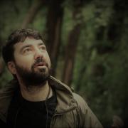 man looking up at forest