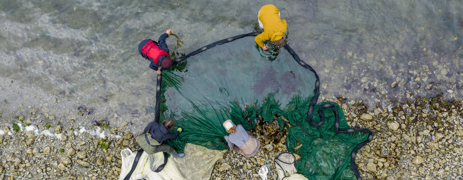 Photo of students on shoreline with fishing net from above