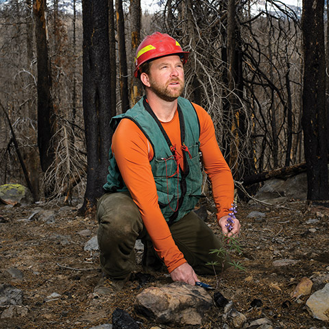 Forestry Degree Program | College of Forestry