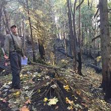 Glenn Ahrens assessing fire-damaged trees after the Riverside Fire