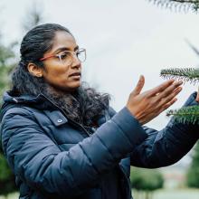 Priya Rajarapu looks at a tree branch