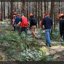 Master woodland manager training in the field