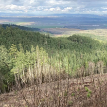 Western Oregon landscape