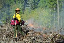 Prescribed burn on forest