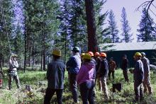 Micah Schmidt, OSU Extension fire specialist for the northeast region, provides tree-climbing instruction to the Northwest Youth Corps’ Community Wildfire Protection Corps crew at the OSU Oberteuffer Research and Education Forest in Union County.