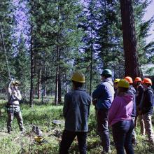 Micah Schmidt, OSU Extension fire specialist for the northeast region, provides tree-climbing instruction to the Northwest Youth Corps’ Community Wildfire Protection Corps crew at the OSU Oberteuffer Research and Education Forest in Union County.