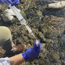 Water sampling