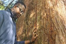 Chukwuemeka Valentine Okolo stands by a big tree