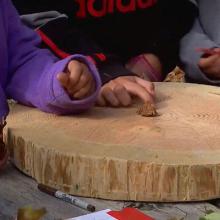 Students examine a large tree cross-section during an activity at the Clatsop Sixth Grade Forestry Tour.