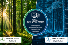 Digital twin of the forest. Physical forest alongside virtual forest.